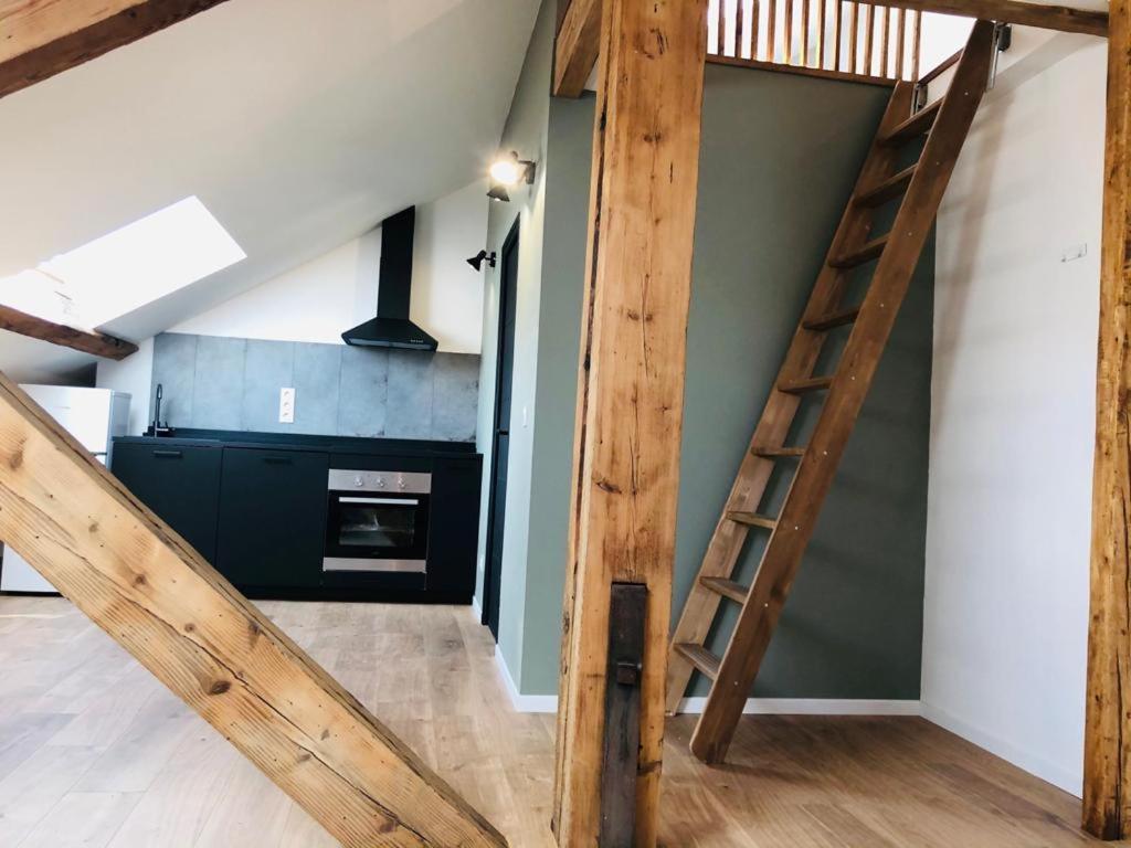 Les Appartements De Romain Et Julien Дижон Экстерьер фото