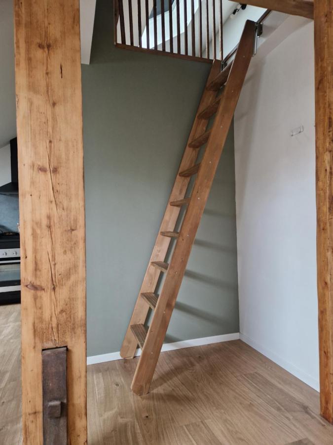 Les Appartements De Romain Et Julien Дижон Экстерьер фото