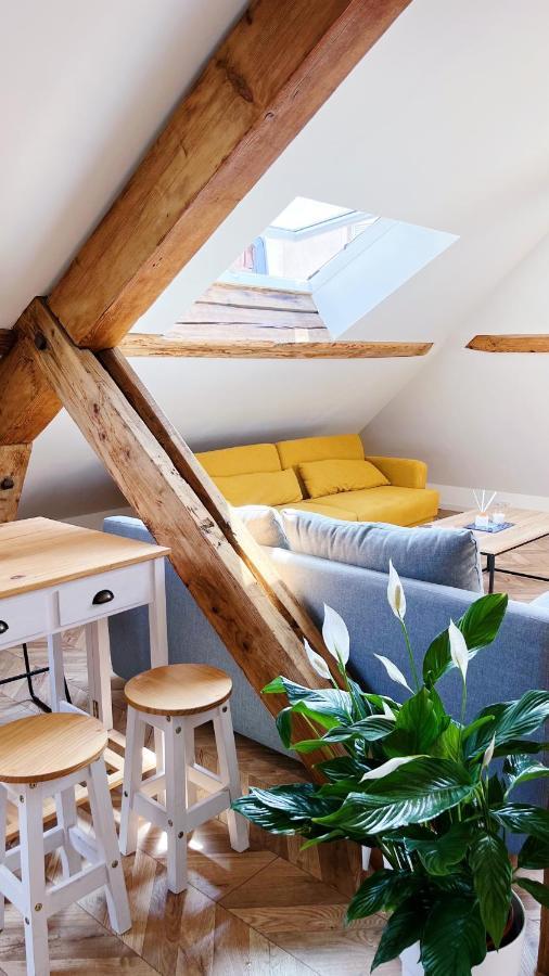 Les Appartements De Romain Et Julien Дижон Экстерьер фото