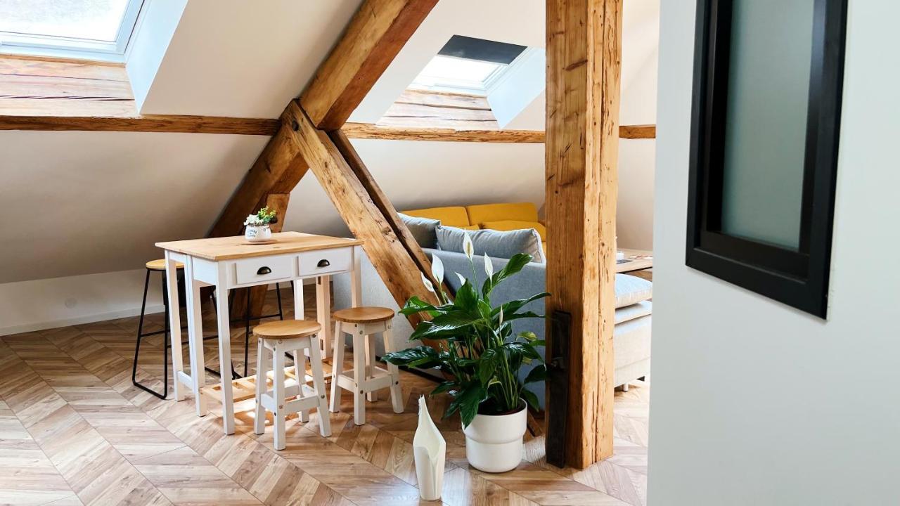 Les Appartements De Romain Et Julien Дижон Экстерьер фото