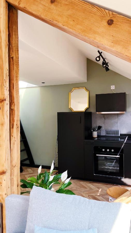 Les Appartements De Romain Et Julien Дижон Экстерьер фото