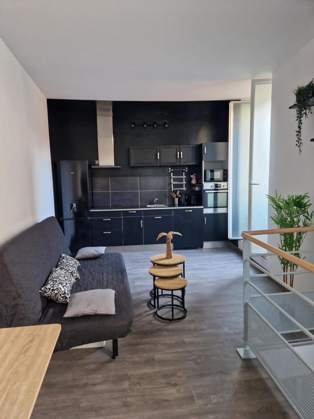 Les Appartements De Romain Et Julien Дижон Экстерьер фото