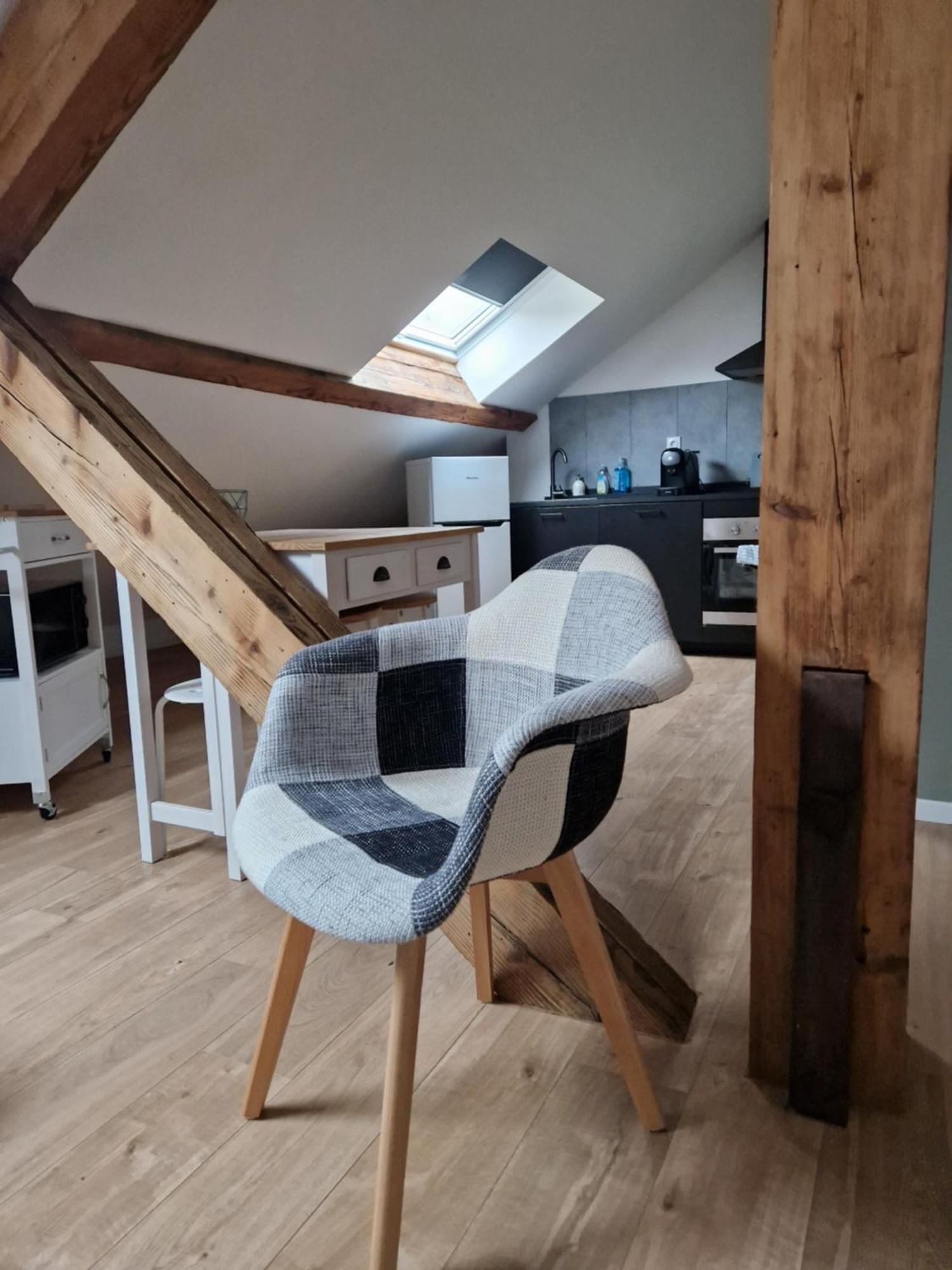 Les Appartements De Romain Et Julien Дижон Экстерьер фото