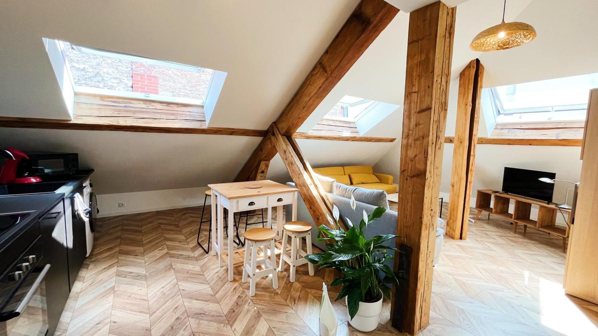 Les Appartements De Romain Et Julien Дижон Экстерьер фото