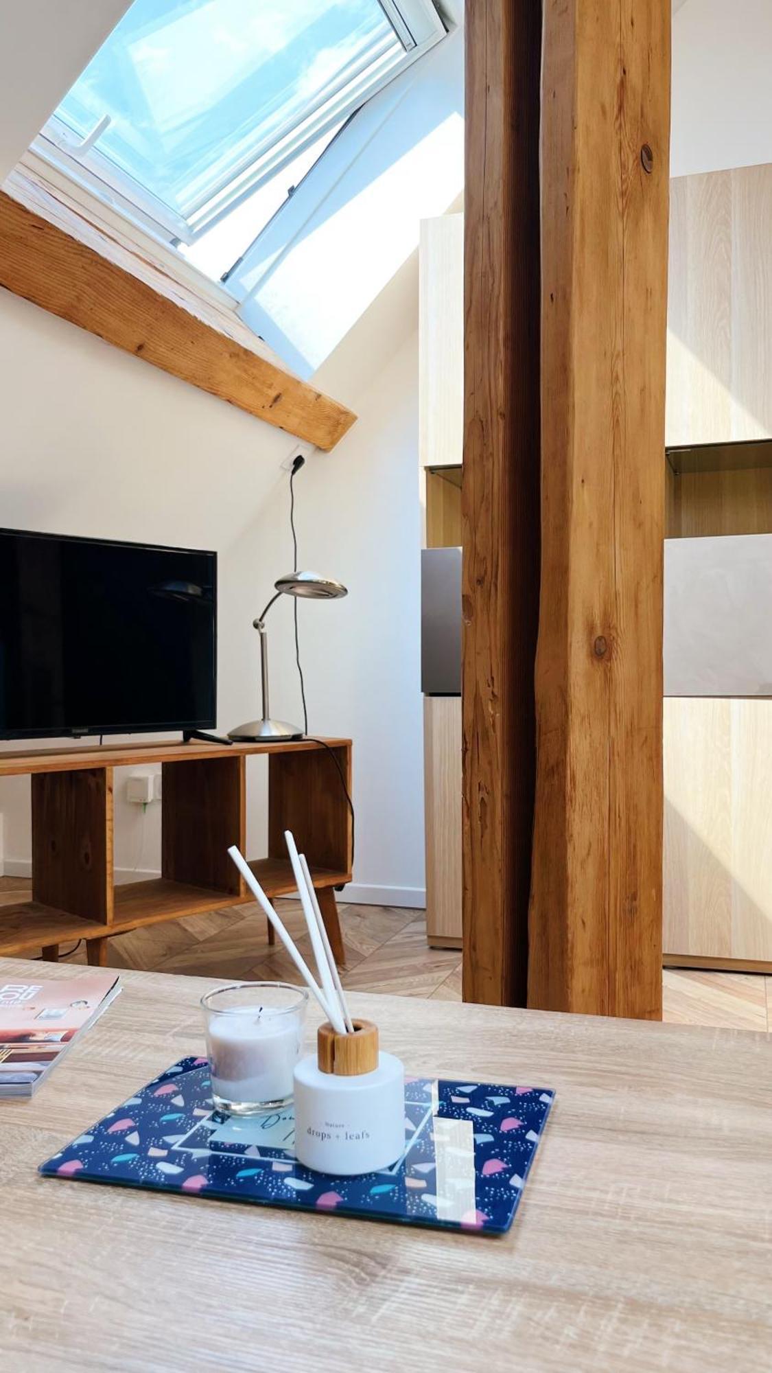 Les Appartements De Romain Et Julien Дижон Экстерьер фото
