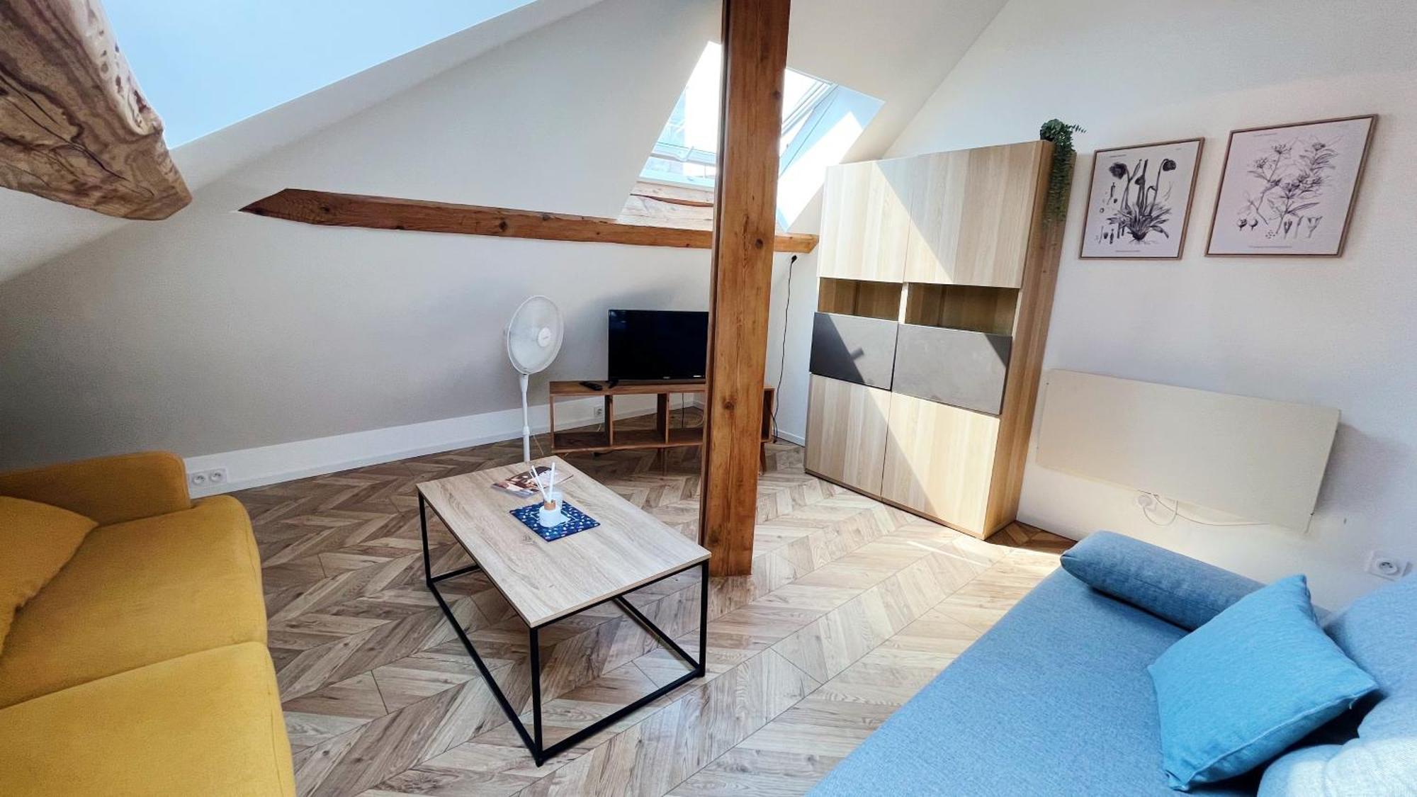 Les Appartements De Romain Et Julien Дижон Экстерьер фото