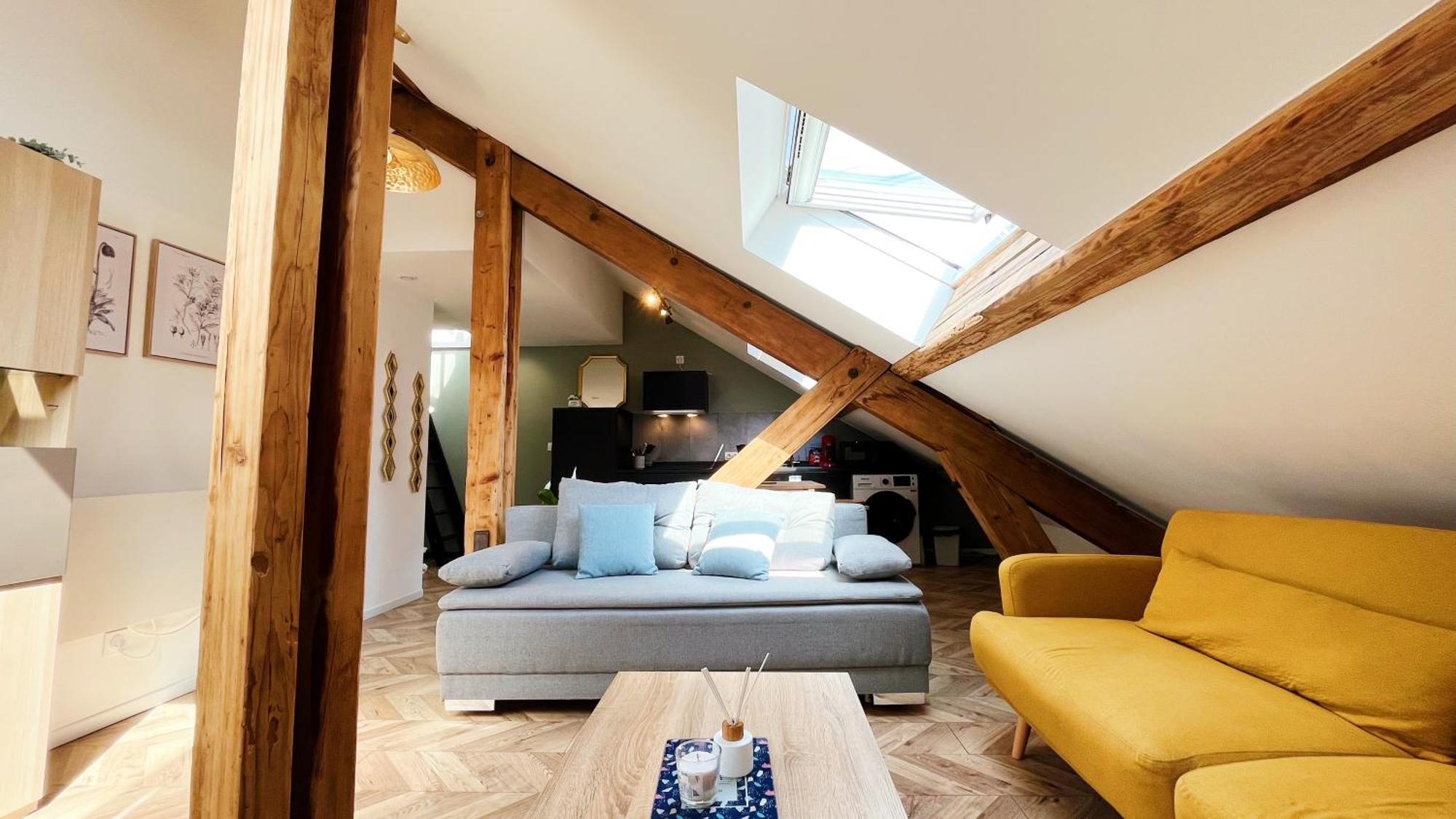 Les Appartements De Romain Et Julien Дижон Экстерьер фото