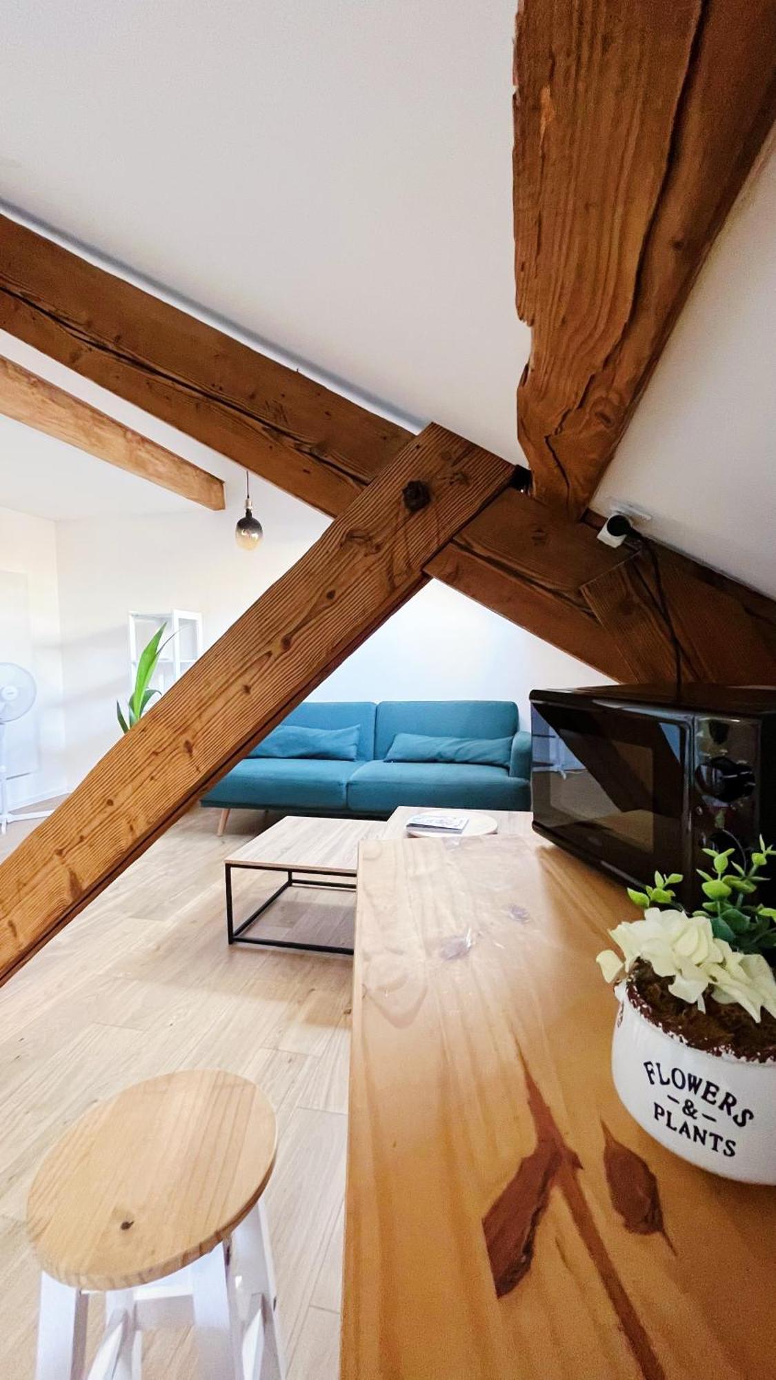Les Appartements De Romain Et Julien Дижон Экстерьер фото