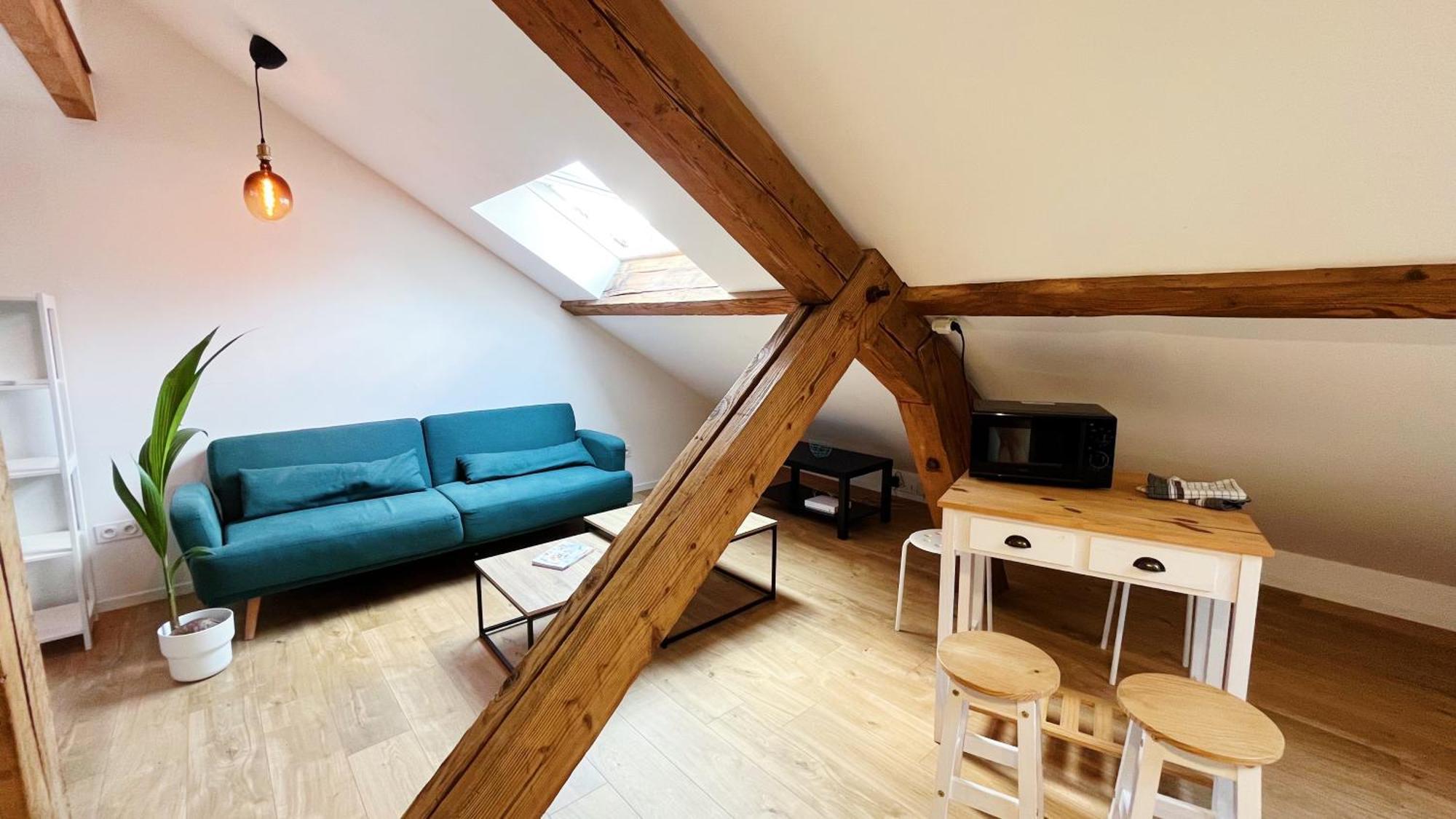 Les Appartements De Romain Et Julien Дижон Экстерьер фото