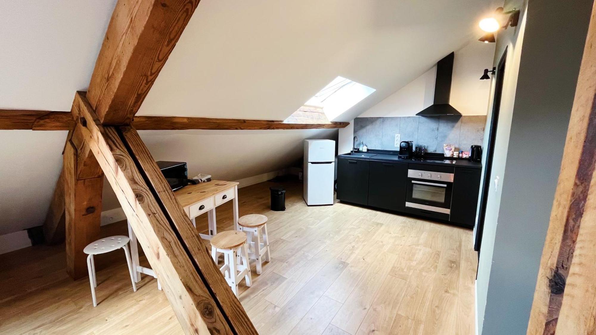 Les Appartements De Romain Et Julien Дижон Экстерьер фото