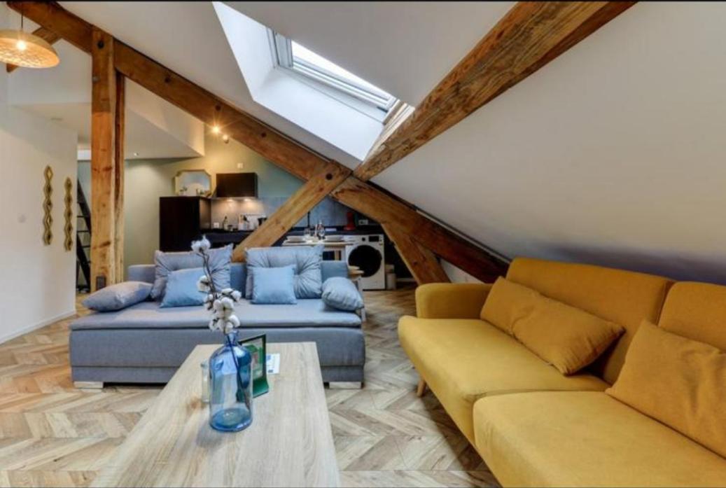 Les Appartements De Romain Et Julien Дижон Экстерьер фото